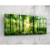 Forest Glass Wall Art (36"x14") by Insigneart USA