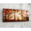 Forest Glass Wall Art (36"x14") by Insigneart USA