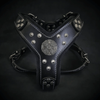 The ''Maximus'' harness black & silver Small to Medium Size by Bestia Dog Gear