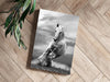Running Horse Aluminum Print by Insigneart USA