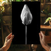 Flower Aluminum Print by Insigneart USA
