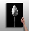 Flower Aluminum Print by Insigneart USA