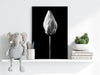 Flower Aluminum Print by Insigneart USA