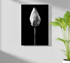 Flower Aluminum Print by Insigneart USA