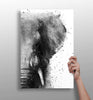 Elephant Aluminum Print by Insigneart USA