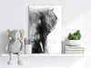 Elephant Aluminum Print by Insigneart USA