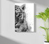 Tiger Aluminum Print by Insigneart USA