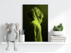 Lion Aluminum Print by Insigneart USA