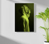 Lion Aluminum Print by Insigneart USA