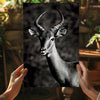 Antilope Aluminum Print