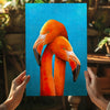 Flamingos Aluminum Print by Insigneart USA