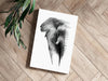 Elephant Aluminum Print by Insigneart USA