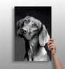 Cute Dog Aluminum Print by Insigneart USA
