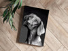 Cute Dog Aluminum Print by Insigneart USA