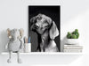 Cute Dog Aluminum Print by Insigneart USA