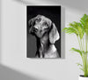 Cute Dog Aluminum Print by Insigneart USA