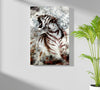 Tiger Aluminum Print by Insigneart USA