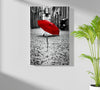 Red Umbrella Aluminum Print by Insigneart USA