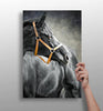 Black Horse Aluminum Print by Insigneart USA