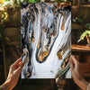 Abstract Marble Pattern V20 Aluminum Print by Insigneart USA
