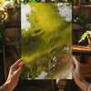 Abstract Paint Yellow V3 Aluminum Print by Insigneart USA