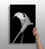Lilly Flower Aluminum Print by Insigneart USA