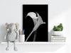 Lilly Flower Aluminum Print by Insigneart USA