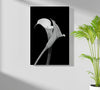 Lilly Flower Aluminum Print by Insigneart USA