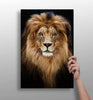 Lion Aluminum Print by Insigneart USA