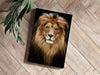 Lion Aluminum Print by Insigneart USA