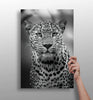 Leopard Aluminum Print by Insigneart USA