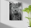 Leopard Aluminum Print by Insigneart USA