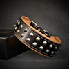"Boston" collar by Bestia Dog Gear