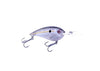 Bruiser Cruiser Crankbait