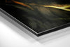 Lion Brushed Aluminium Dibond Wall Art by Insigneart USA