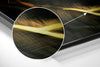 Lion Brushed Aluminium Dibond Wall Art by Insigneart USA