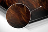 Lion Brushed Aluminium Dibond Wall Art by Insigneart USA