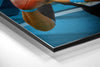 Carolina Panthers Brushed Aluminium Dibond Wall Art by Insigneart USA