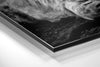 Lion Brushed Aluminium Dibond Wall Art by Insigneart USA