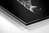 No More Excuses Brushed Aluminium Dibond Wall Art by Insigneart USA