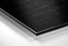 No Pain, No Gain Brushed Aluminium Dibond Wall Art by Insigneart USA