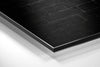 No Pain, No Gain Brushed Aluminium Dibond Wall Art by Insigneart USA