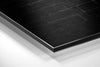 No Pain, No Gain Brushed Aluminium Dibond Wall Art by Insigneart USA