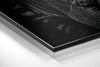 Eye of the Tiger Brushed Aluminium Dibond Wall Art by Insigneart USA