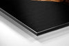 Rhinoceros Brushed Aluminium Dibond Wall Art by Insigneart USA