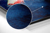 Fish Brushed Aluminium Dibond Wall Art by Insigneart USA