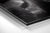 Buffalo Brushed Aluminium Dibond Wall Art by Insigneart USA