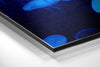 Jellyfish Brushed Aluminium Dibond Wall Art by Insigneart USA