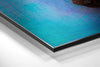 Butterfly Brushed Aluminium Dibond Wall Art by Insigneart USA