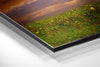 Horse Brushed Aluminium Dibond Wall Art by Insigneart USA